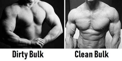 dirty bulk meaning